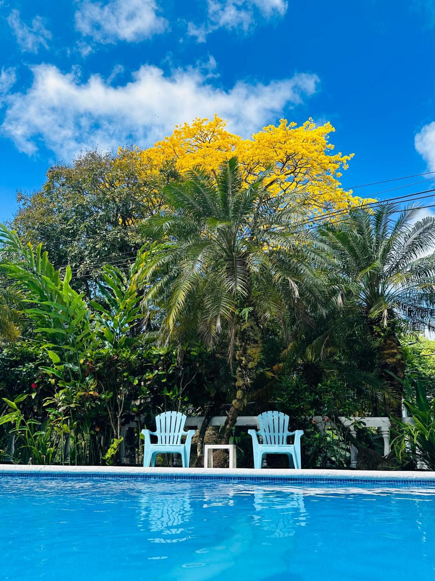 Hospedaje Colibri Manuel Antonio Exterior photo